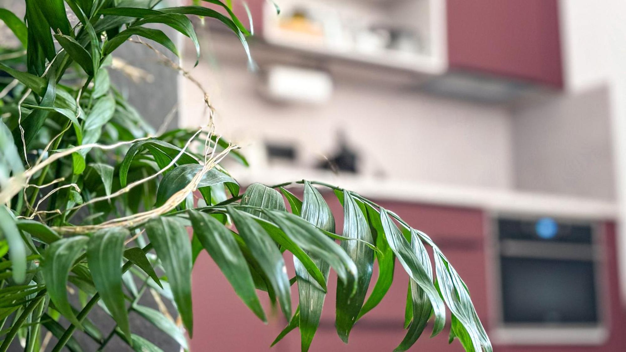 Remote Work Friendly Zahradni Apartman U Jezera Staré Splavy Exteriér fotografie